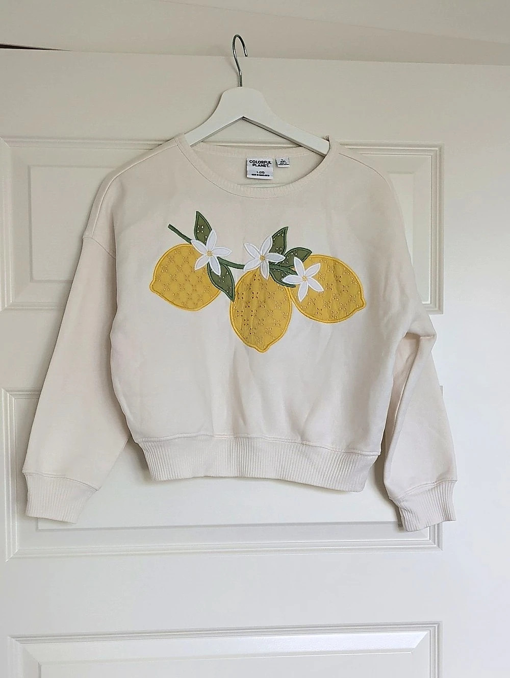 Colorful Planet Lemon Embroidered Sweatshirt in Cream Size Large